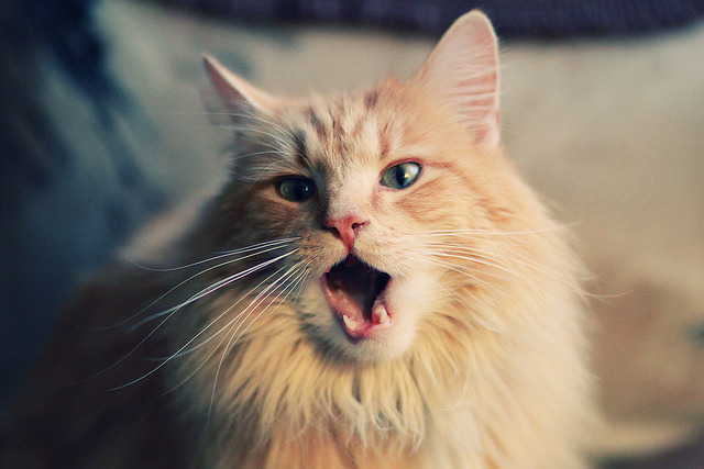 开云体育网页版-中国足球产业“创新+升级”，青训行业持续领跑未来，我国足球青训发展现状