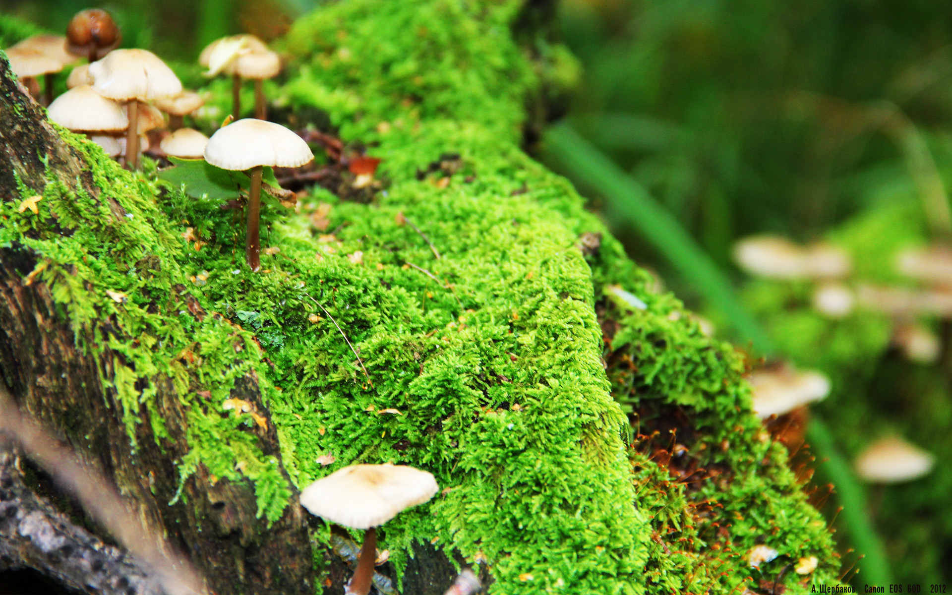 半场焦点：54-51，北京队略占优势，比赛悬念不断，北京队排名